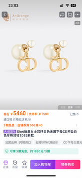 China Replica Dior Earrings 24usd Only